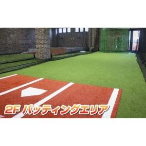 ふるさと納税 フィールドフォースボールパーク柏の葉利用券 【3時間利用チケット】 千葉県柏市_1