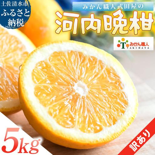 ふるさと納税 訳あり 河内晩柑 5kg みかん職人武田屋[R01616] 高知県土佐清水市