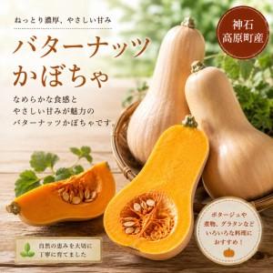 ふるさと納税 [ふるさと納税]神石高原産 バターナッツかぼちゃ 約4kg クリーミーで濃厚な味わい 国産かぼちゃ|中ちゃん農園 広島県 神石.. 広島県神石高原町