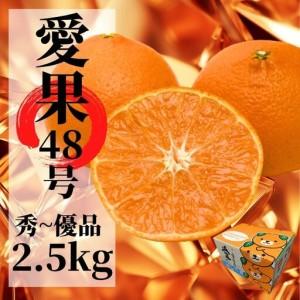 ふるさと納税 [2027年2月下旬頃から順次発送]愛果48号 秀〜優品 約2.5kg | 愛媛 愛媛県産みかん 蜜柑 ミカン mikan みかん あいか 柑橘 お取.. 愛媛県松山市