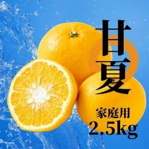 ふるさと納税 [2027年2月下旬頃から順次発送]甘夏 家庭用 約2.5kg | 愛媛 愛媛県産みかん 蜜柑 ミカン mikan みかん あまなつ 柑橘 お取り寄.. 愛媛県松山市