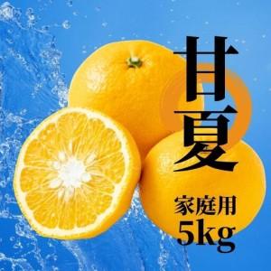 ふるさと納税 [2027年2月下旬頃から順次発送]甘夏 家庭用 約5kg | 愛媛 愛媛県産みかん 蜜柑 ミカン mikan みかん あまなつ 柑橘 お取り寄せ.. 愛媛県松山市