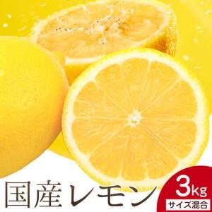 ふるさと納税 国産レモン サイズ混合 3kg エイワ商店 檸檬 レモン 和歌山県日高川町