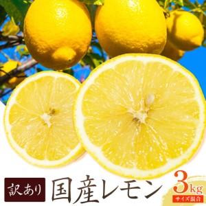 ふるさと納税 訳あり 国産 レモン サイズ混合 3kg エイワ商店 檸檬 レモン 和歌山県日高川町