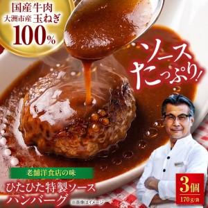 ふるさと納税 ハンバーグ×3個 ひたひた特製ソースつき [冷凍] 愛媛県大洲市/有限会社ヒロファミリーフーズ ハンバーグ 冷凍 洋風総菜 肉 .. 愛媛県大洲市