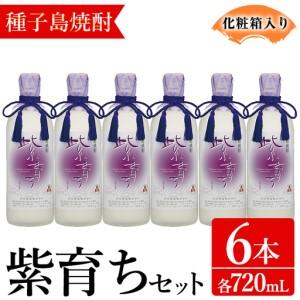 ふるさと納税 焼酎 紫育ち (720ml×6本・化粧箱入り) 鹿児島 種子島 芋 ボトル お酒 ギフト 四元酒造 [アイショップ永井店]n188-1 鹿児島県中種子町