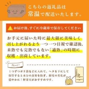 ふるさと納税 新高 梨 5kg 8〜12玉 予約受付 梨 なし 甘い かすみがうら市【配送不可地域：離島・沖縄県】【1743817】 茨城県かすみがうら市_3