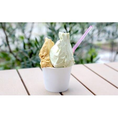 肌触りがいい ふるさと納税 自家農園と和歌山産にこだわった手作りジェラート 和歌山県白浜町 驚きの値段 Esiba Tg