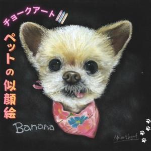 ふるさと納税 ペットの似顔絵チョークアート | チョークアート 長野県千曲市