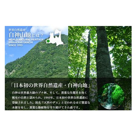 ふるさと納税 白神山地の水 500ml×24本 ナチュラルウォーター 飲料水 軟水 超軟水 非加熱 弱酸性 湧水 湧き水 水 ウォーター ペットボト.. 青森県鰺ヶ沢町｜furunavi｜03