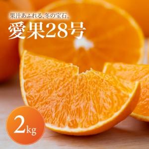 ふるさと納税 [2026年11月下旬頃から順次発送] あいか28号 ( 紅まどんな と同品種 ) 家庭用 2kg | みかん 愛果28号 あいか 紅マドンナ 紅まど.. 愛媛県松山市