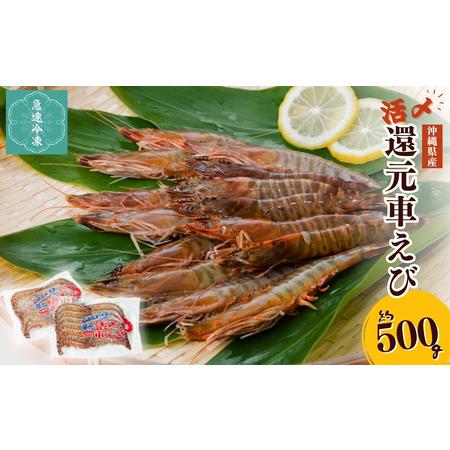 ふるさと納税 活〆還元車えび 急速冷凍 500g エナジック車海老養殖場 沖縄県うるま市 ふるなび ふるさと納税 通販 Yahoo ショッピング