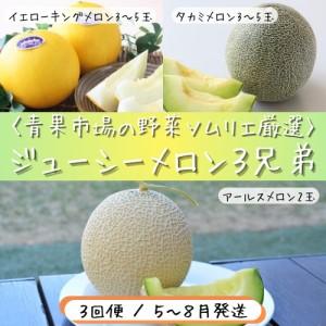 ふるさと納税 青果市場の野菜ソムリエ厳選 ジューシー メロン 3兄弟 定期便 全3回 愛知県田原市
