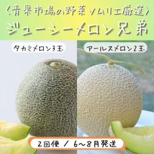 ふるさと納税 青果市場の野菜ソムリエ厳選 ジューシー メロン 2兄弟 定期便 全2回 愛知県田原市