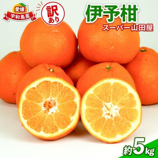 ふるさと納税 みかん 訳あり 伊予柑 いよかん 約5kg スーパー山田屋 先行予約 果物 くだもの フルーツ 柑橘 mikan 蜜柑 愛媛蜜柑 愛媛みかん .. 愛媛県宇和島市
