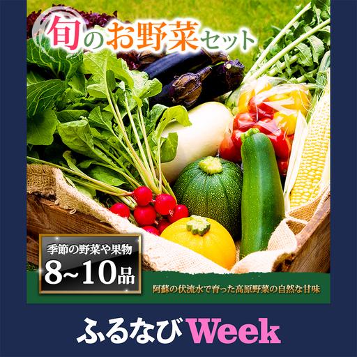 ふるさと納税 [ふるなびWEEK対象][畑から直送]季節のお野菜セット Lサイズ(8〜10品) 熊本県阿蘇市