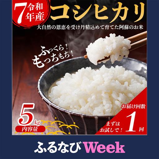 ふるさと納税 [ふるなびWEEK対象]R7年産コシヒカリ 5kg プロ厳選の産地直送米 白米 お米 人気 美味しい 白ご飯 こだわり 農業 甘味 香り ツヤ.. 熊本県阿蘇市