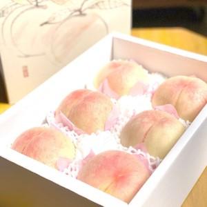 ふるさと納税 2026年 岡山県産 白桃 差し上げ物用 約2kg（5?7玉） 岡山県岡山市