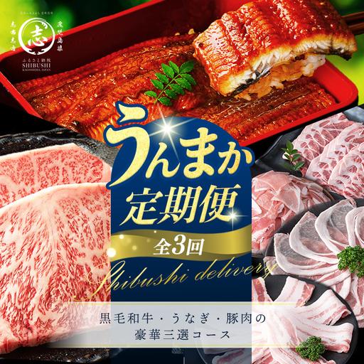 ふるさと納税 [定期便全3回]黒毛和牛・うなぎ・豚肉の豪華三選コース 志布志うんまか定期便 国産 牛肉 ステーキ 鰻 うな重 ひつまぶし ロ.. 鹿児島県志布志市