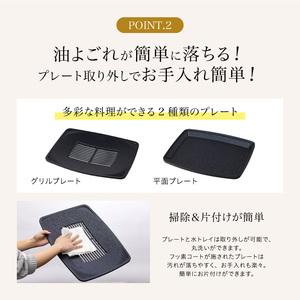 ふるさと納税 アラジン 訳あり 特別寄附額 グリーン 緑 グラファイト