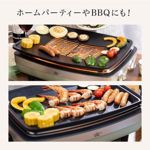 ふるさと納税 アラジン 訳あり 特別寄附額 グリーン 緑 グラファイト