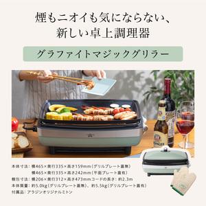 ふるさと納税 アラジン 訳あり 特別寄附額 グリーン 緑 グラファイト