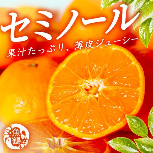 ふるさと納税 [先行予約] セミノールオレンジ 約5kg ジューシー柑橘 和歌山県産 和歌山県美浜町