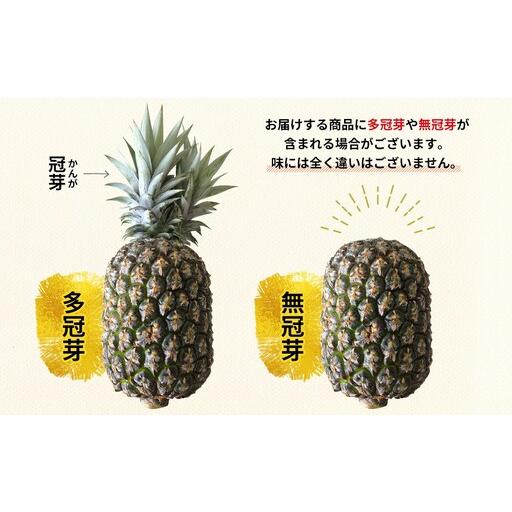 ふるさと納税 パイナップル ゴールドバレル 2玉 3.6kg 五分五分栽培所  沖縄県東村