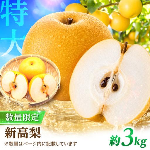 ふるさと納税 [2026年9月〜発送][梨の王様] こだわり 新高梨 約3kg / 梨 ナシ フルーツ 果物 旬 先行予約 産地直送 家庭用 国産 / 南島原.. 長崎県南島原市