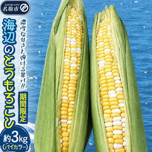 ふるさと納税 [期間限定]濃厚な甘さと弾ける果汁!海辺のとうもろこし[バイカラー]約3kg(7〜8本程度)バイカラーコーン 宮城県名取市