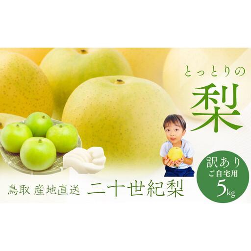 ふるさと納税 鳥取県産 梨 訳あり ご自宅用 二十世紀梨 5kg [鳥取県 境港市] 鳥取県境港市