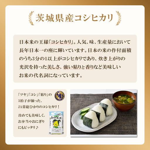 ふるさと納税 【ふるなび限定】米 精米 R7年産 コシヒカリ 10kg 8月 FN
