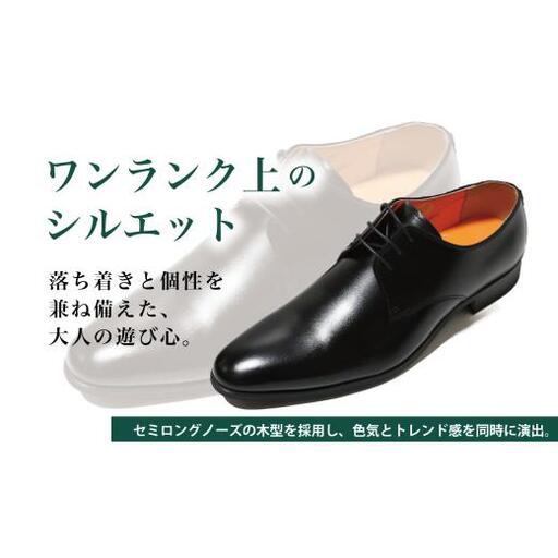 ふるさと納税 【LV1070 黒いこと】26.0糎 流行りを意識することした商行為シューズ プレーントゥー 千葉県松戸市