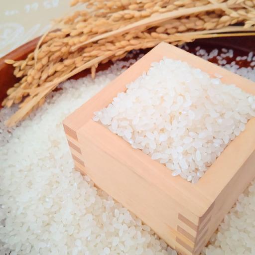 ふるさと納税 令和7年産 [マイスターセレクト] さがびより[白米] 5kg [特A評価] 086-B1025 佐賀県伊万里市