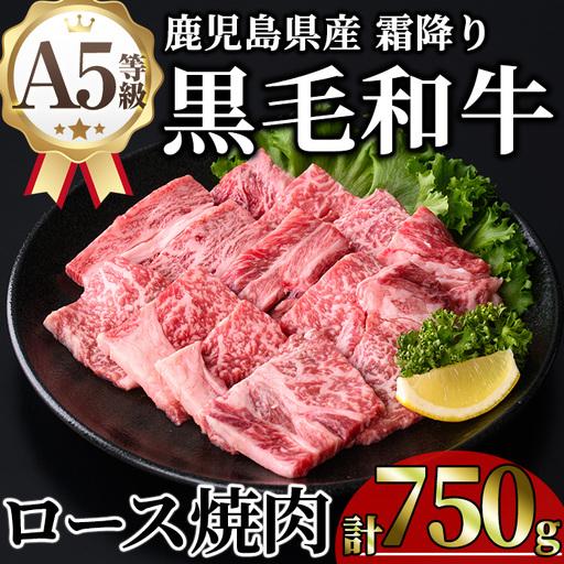 ふるさと納税 鹿児島県産 A5等級 黒毛和牛 霜降り ロース 焼肉 (計750g・250g×3P) [KNOT]B218 鹿児島県曽於市