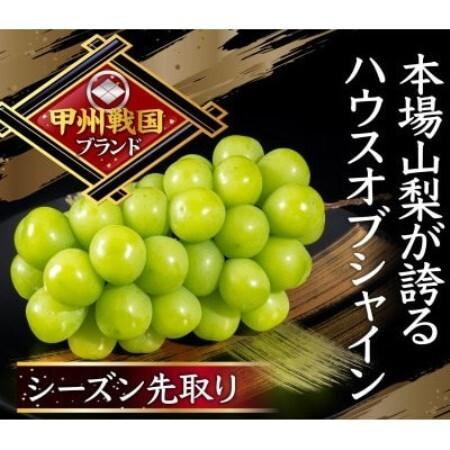 ふるさと納税 [幻のハウスオブシャインマスカット]今の時期しか収穫できない幻の逸品約2kg 6月下旬発送予定[配送不可地域:離島][1748218] 山梨県山梨市