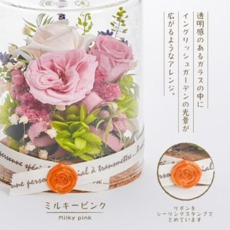 ふるさと納税 プリザーブドフラワー ガラスケース入り口・入口取りあわせる 【イネス モナ(ミルキーさくら色)】【1748572】 岐阜県羽島市