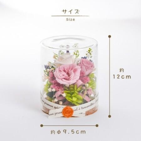 ふるさと納税 プリザーブドフラワー ガラスケース入り口・入口取りあわせる 【イネス モナ(ミルキーさくら色)】【1748572】 岐阜県羽島市