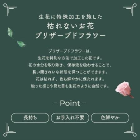 ふるさと納税 プリザーブドフラワー ガラスケース入り口・入口取りあわせる 【イネス モナ(ミルキーさくら色)】【1748572】 岐阜県羽島市