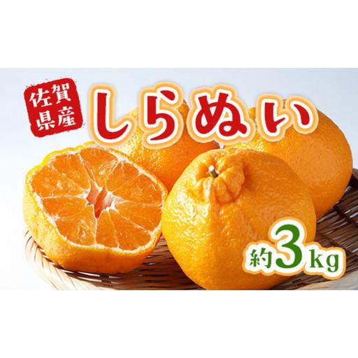 ふるさと納税 不知火 しらぬい 約3kg 柑橘 みかん ジュース ゼリー シャーベット 果物 フルーツ デザート ※配送不可:離島 佐賀県鳥栖市
