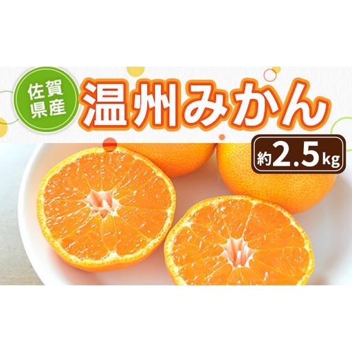 ふるさと納税 みかん 佐賀県産 温州みかん 約2.5kg 果物 フルーツ ミカン デザート ※配送不可:離島 佐賀県鳥栖市