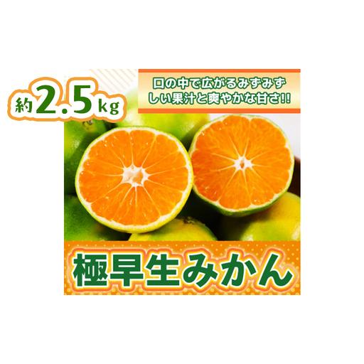 ふるさと納税 みかん 佐賀県産 極早生みかん2.5kg 果物 フルーツ ミカン デザート ※配送不可:離島 佐賀県鳥栖市