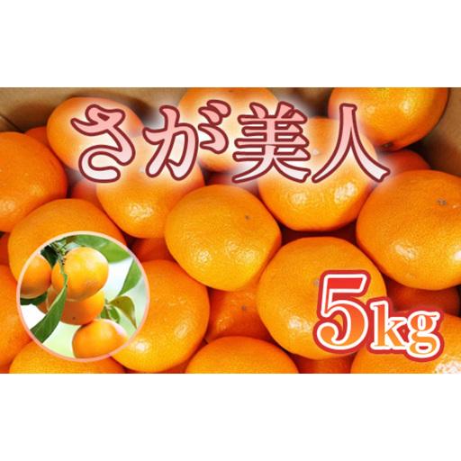 ふるさと納税 みかん さが美人 5kg 果物 フルーツ ミカン デザート ※配送不可:離島 佐賀県鳥栖市