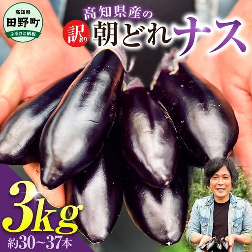 ふるさと納税 訳あり高知県産の朝どれナス 3kg 茄子 なす 新鮮 朝採れ 野菜 夏野菜 柔らかい 甘い おいしい 生鮮食品 食品 食べ物 浅漬け 煮浸し.. 高知県田野町
