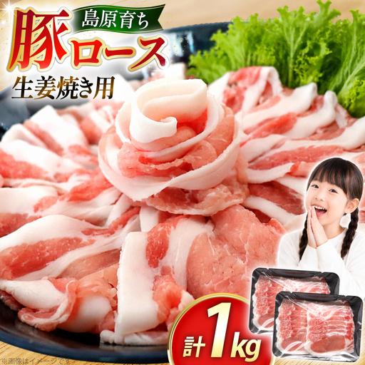 ふるさと納税 AK030 豚ロース 生姜焼き用 500g 2パック 計1kg 長崎県島原市