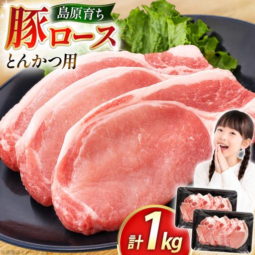 ふるさと納税 AK032 豚ロース とんかつ用 500g 2パック 計1kg 長崎県島原市