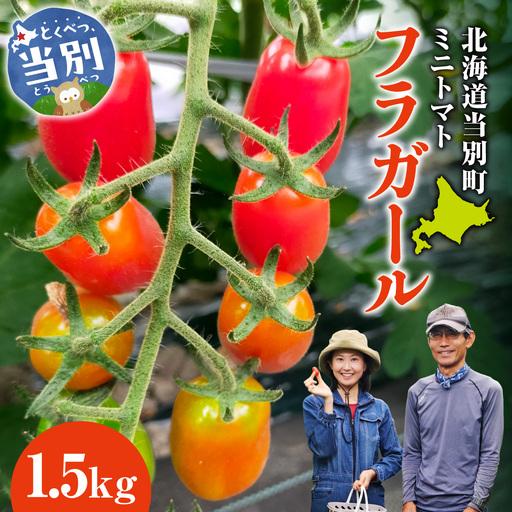 ふるさと納税 北海道当別町産化学農薬不使用ミニトマト フラガール1.5kg | 北海道産 トマト 野菜 大容量 北海道 当別町 北海道当別町