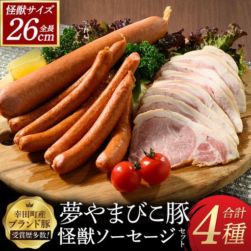 ふるさと納税 夢やまびこ豚の怪獣ソーセージセット 4種 | ソーセージ ウィンナー チョリソー ハム 夢やまびこ豚 加工肉 豚肉 セット BBQ 真空パ.. 愛知県幸田町