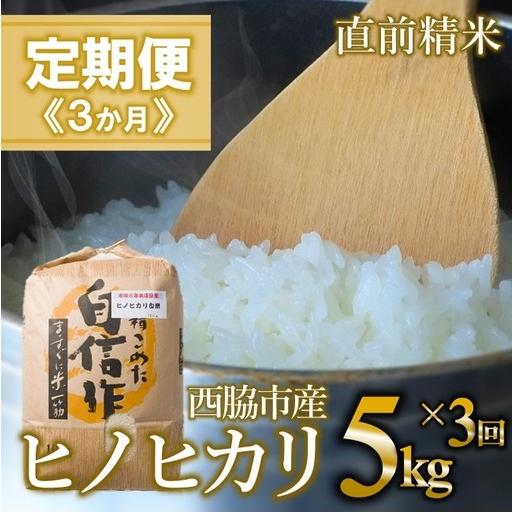 ふるさと納税 [定期便 3か月 ヒノヒカリ]白米5kg(3か月連続お届け) 2025年産 米 お米 米5kg お米5kg 兵庫県産 ひのひかり 兵庫県西脇市