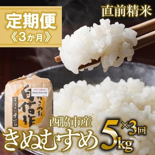 ふるさと納税 [定期便 3か月 きぬむすめ]白米5kg(3か月連続お届け)新米 2025年産 米 お米 米5kg お米5kg 兵庫県産 きぬむすめ 兵庫県西脇市